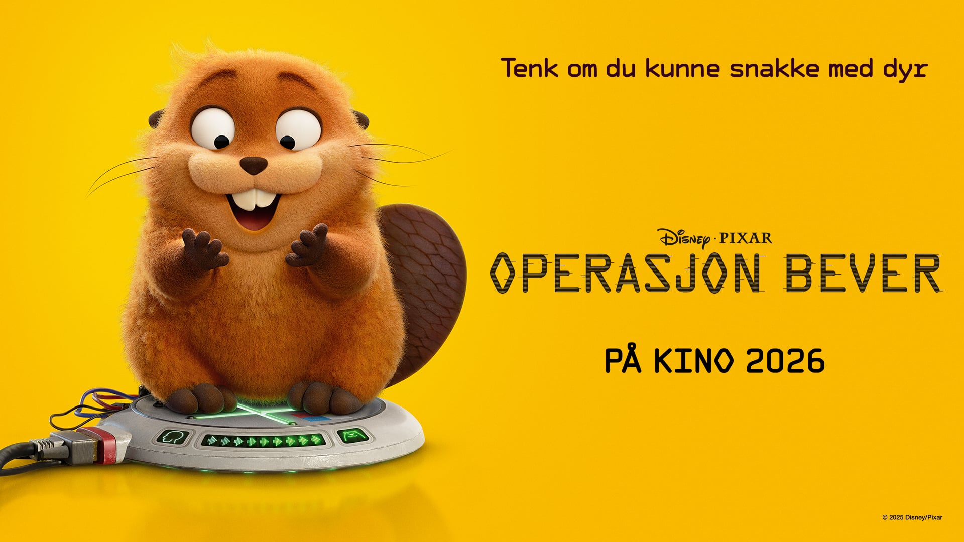 Operasjon bever