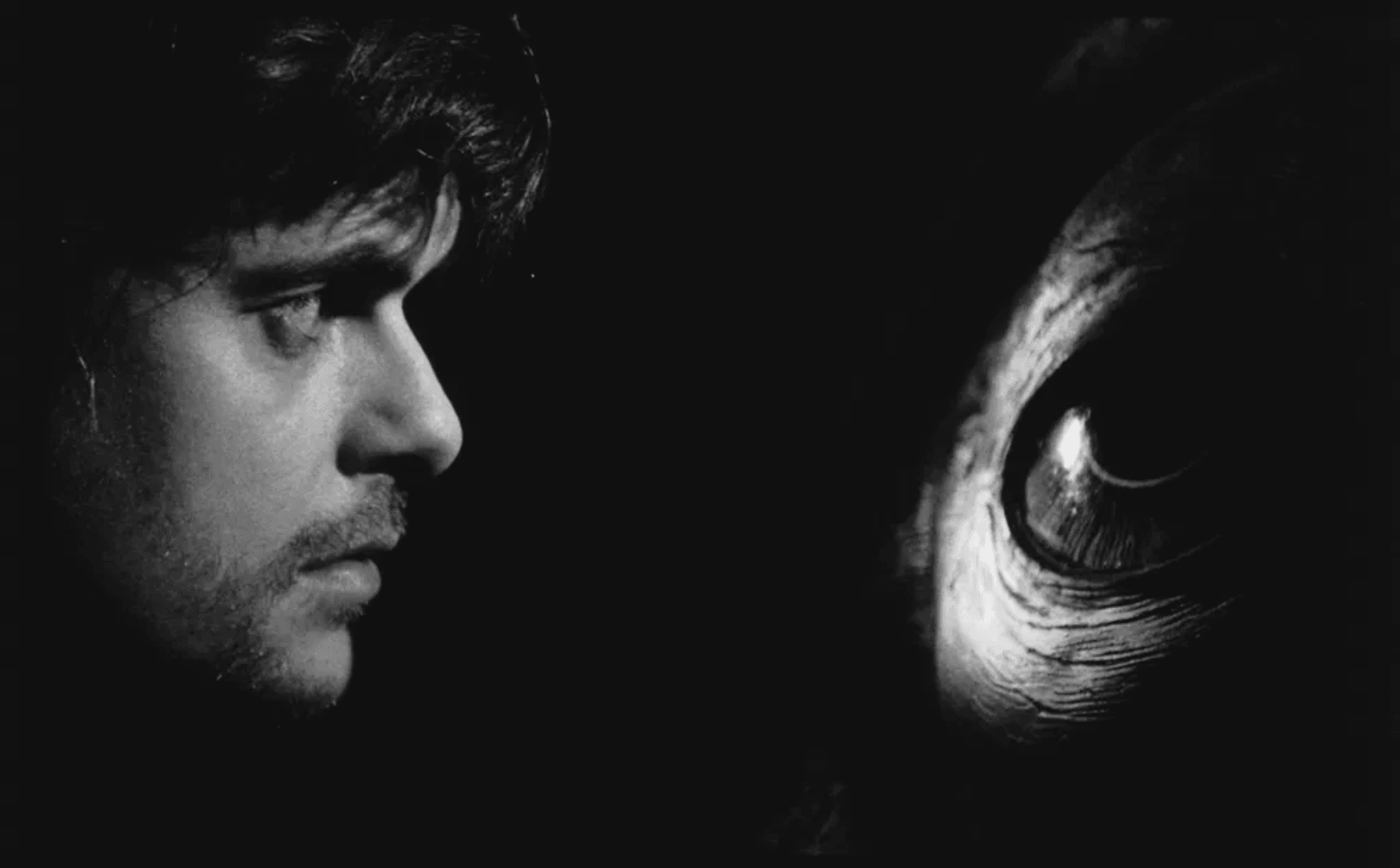 Werckmeister Harmonies